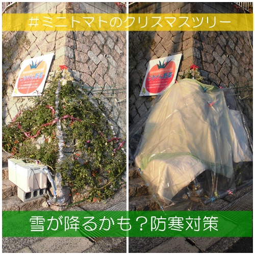 水耕栽培Ｑ＆Ａブログ328