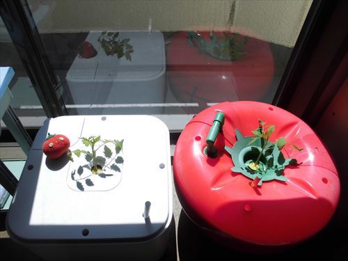 水耕栽培Ｑ＆Ａブログ341