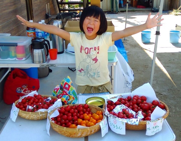 水耕栽培Ｑ＆Ａブログ342