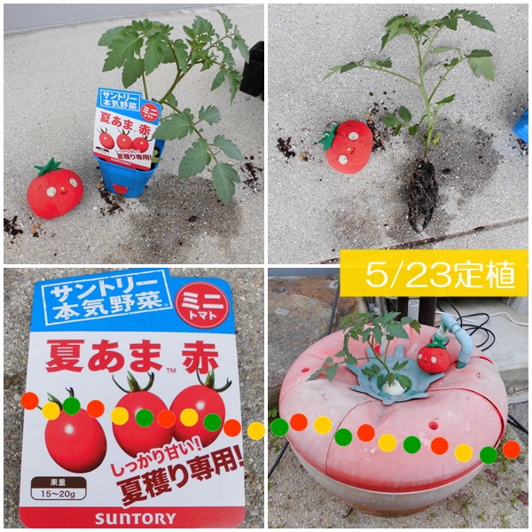 水耕栽培Ｑ＆Ａブログ347