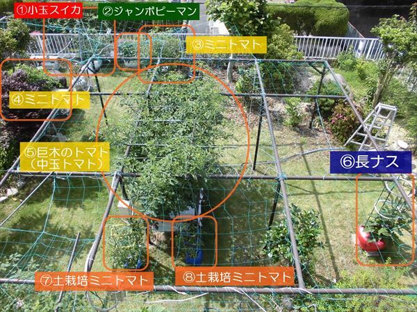 水耕栽培Ｑ＆Ａブログ352