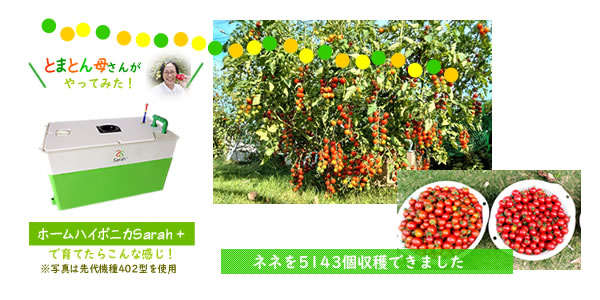 ホームハイポニカsarahプラスでネネを育てたら