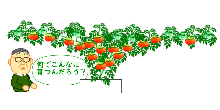 ハイポニカの秘密