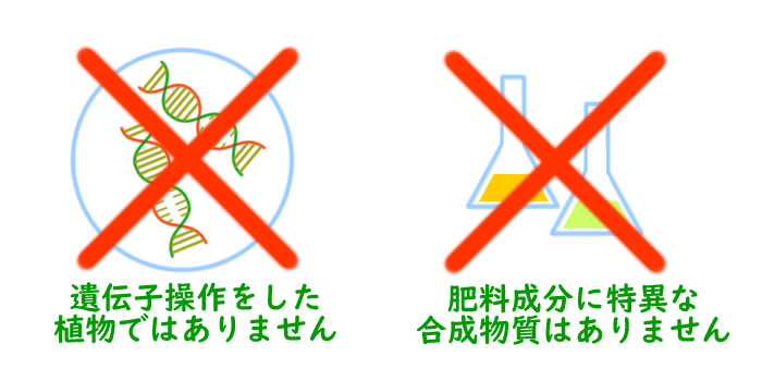 ハイポニカの秘密