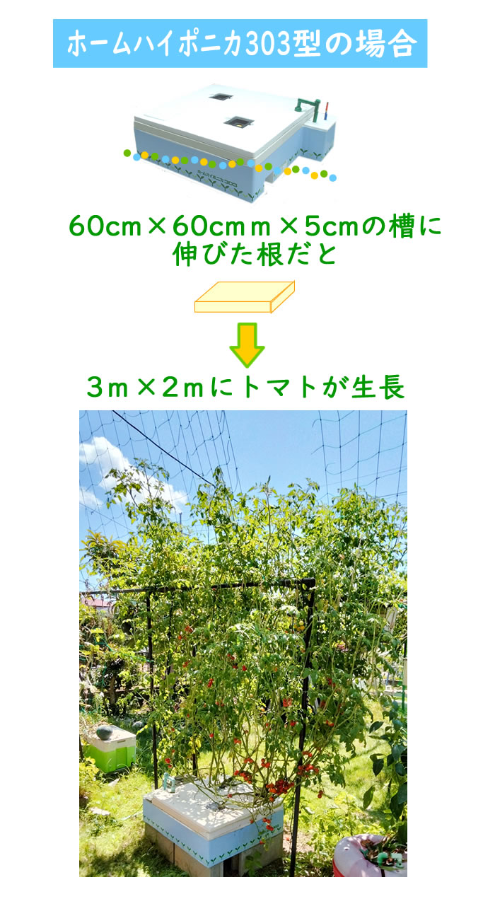 ホームハイポニカ303型の場合