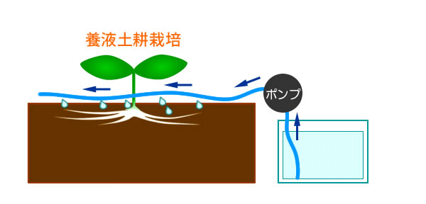 養液土耕栽培模式図