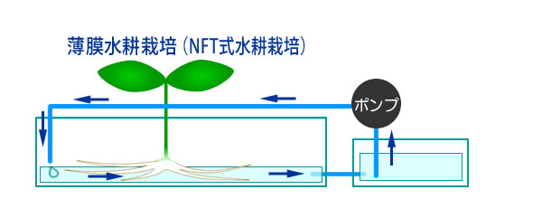 NFT水耕栽培模式図