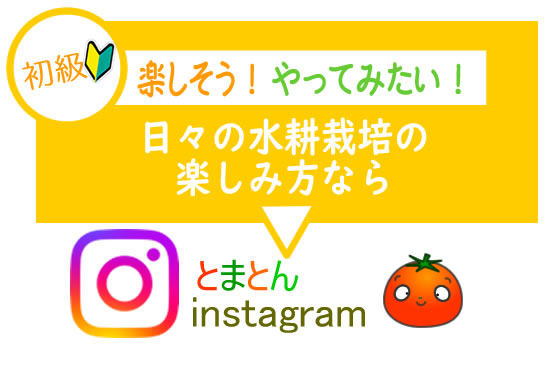 とまとんインスタグラム