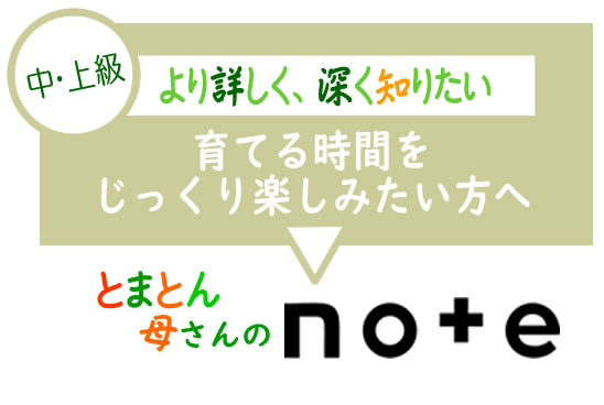 とまとん母さんのnote水耕栽培いろんなこと